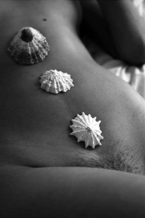 Fractal Geometry And The Human Body Chaos Theory In Nude Art Nude Art Workshops