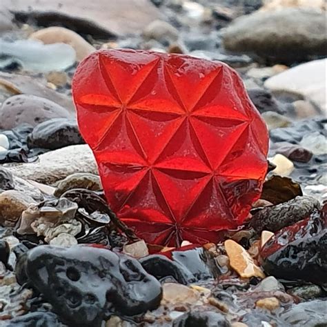 Skyeaqua On Instagram 😍 ♦️ Biggest Tail Lightreflector Piece Ive