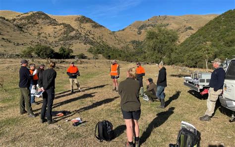 Keeping Wallabies Out Of Marlborough Marlborough District Council