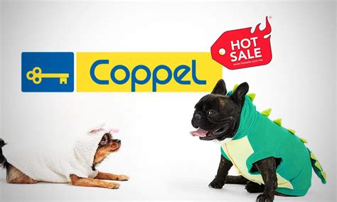 Venta de ropa para mascotas creció 125 6 en el Hot Sale Coppel