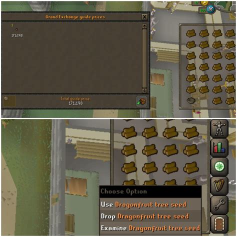 osrs spirit tree seed