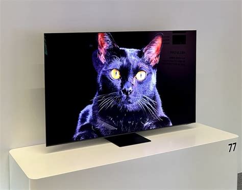 Oled Oled Tv Lg