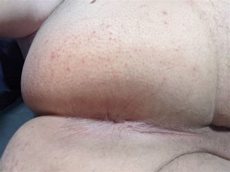 Ass Pictures 3 60 Pictures Of Beeing Your Fucktoy 60 Pics XHamster