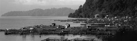 profil asrama tanjung raya asrama tanjung raya sumatera barat