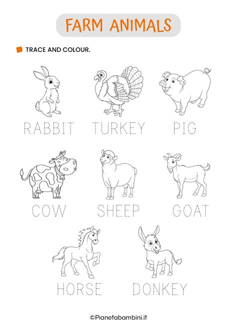 Farm Animals Worksheet for Kids