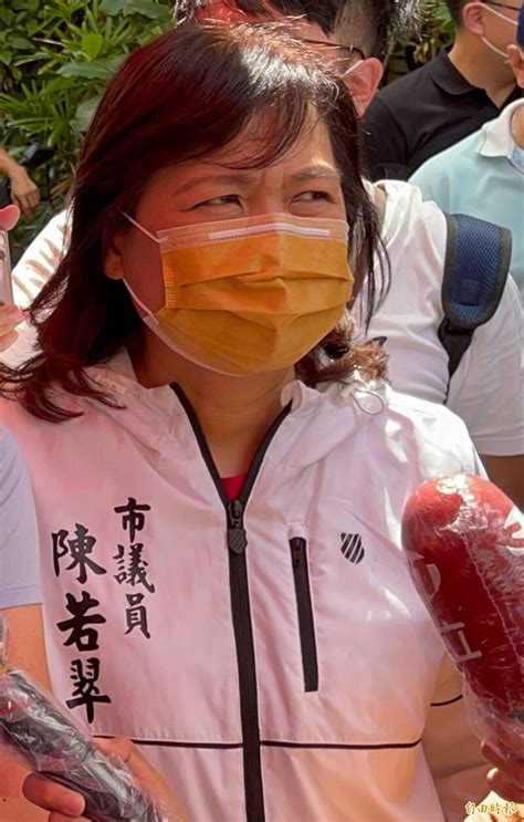 高雄市議員第八選區今年少一席 藍綠2女將廝殺砲火猛烈 政治 自由時報電子報