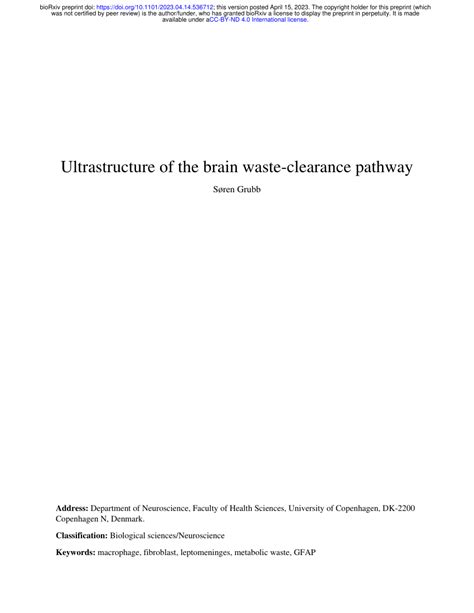 Pdf Ultrastructure Of The Brain Waste Clearance Pathway