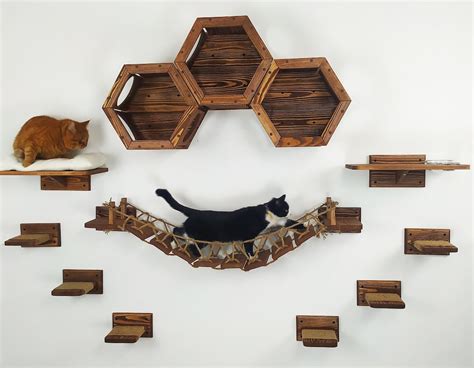 3 Hexagon For Cats Cat Wall Furniture Cat Climbing Wall Etsy