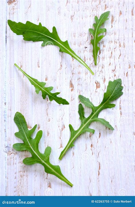 fresh rucola stock image image  rucola lettuce healthy