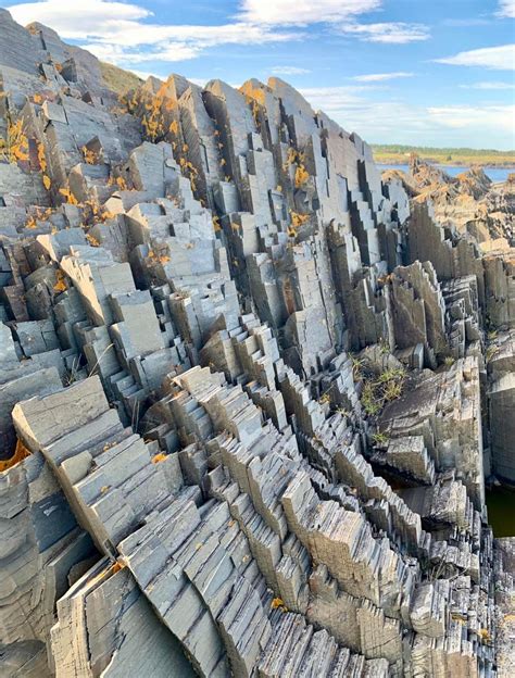 newfoundland on Tumblr