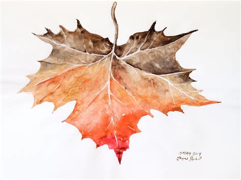 large autumn leaf john philip