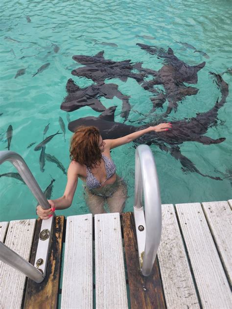 Index Of Wp Content Uploads Photos Blanca Blanco In Bikini At Exuma