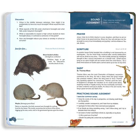 Virtue Field Guide Openlight Media