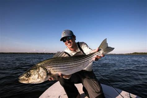 Pro Tips: Making the Most of the Cinder-Worm “Hatch” for Big Stripers ...