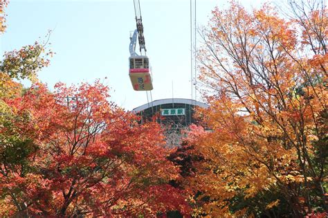 別府ロープウェイ 観光スポット 別府温泉の観光・旅行情報サイト 別府たび