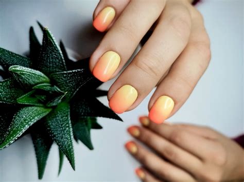 Формы ногтей и их названия