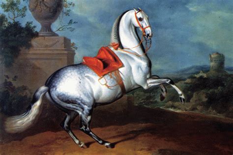 Lipizzaner Museum (Museum)