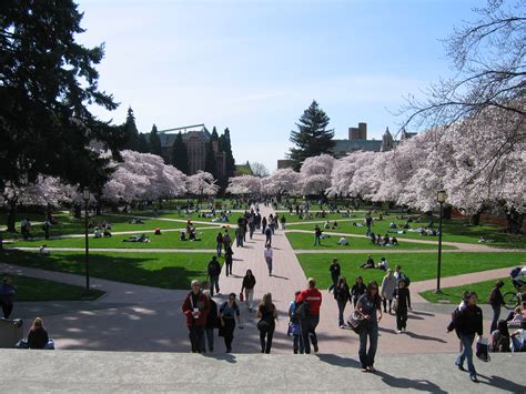 Fileuniversity Of Washington Quad Spring 2007 Wikipedia