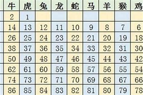 2023年十二生肖号码表财运若朴堂文化