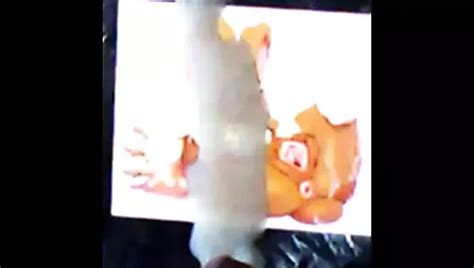 Lopunny Sop Gay Porn Xhamster