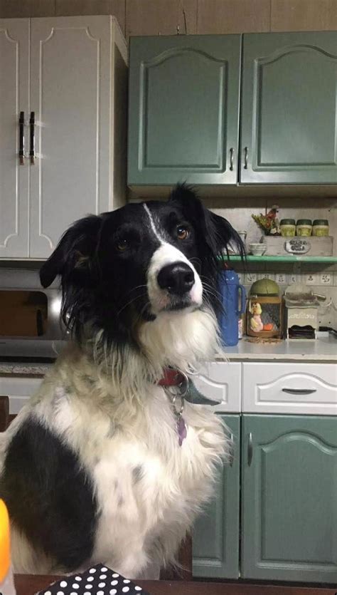 Ofrecen gratificación a vecinos de Río Grande por encontrar a Nash