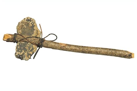 happened   paleolithic age sciencing