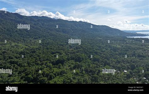 villages papua  guinea  res stock photography  images alamy