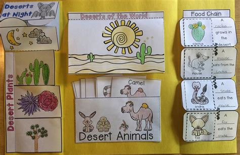 Desert Habitat and Animals Interactive Project