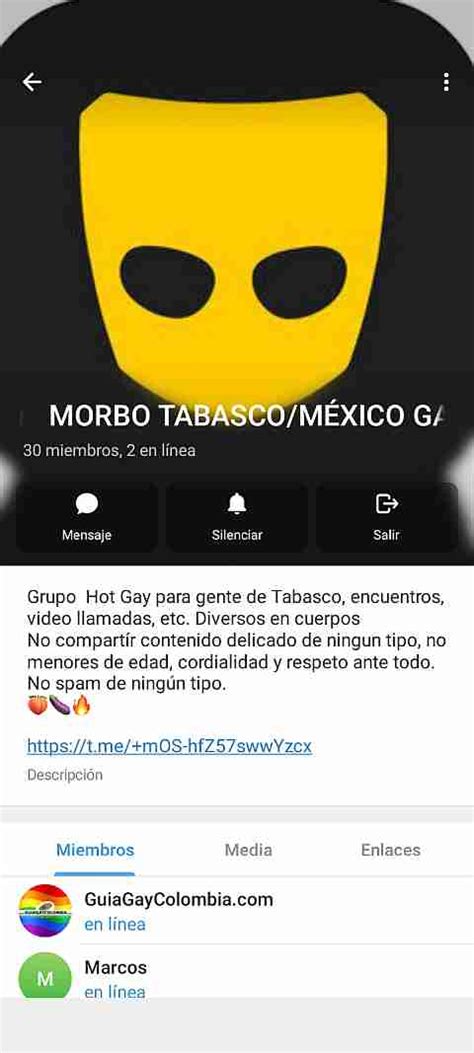 Grupos Gay De Telegram Gay Groups In Telegram Guia Gay Colombia