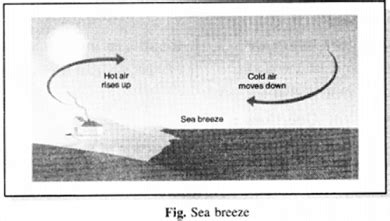 Explain the formation of sea breeze and land breeze in coastal areas ...