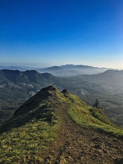 Oc Saddle Mountain Trail Saddle Mountain Oregon Coast Range Oregon
