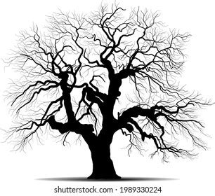 Black Branch Tree Naked Trees Silhouettes Stock Vector Royalty Free Shutterstock