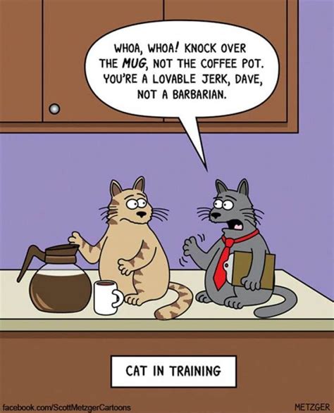 Hilarious Cat Comics Feiern Ber Jahre Arbeit Von Scott Metzger