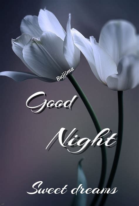 good night quotes flowers images  faye carole blog