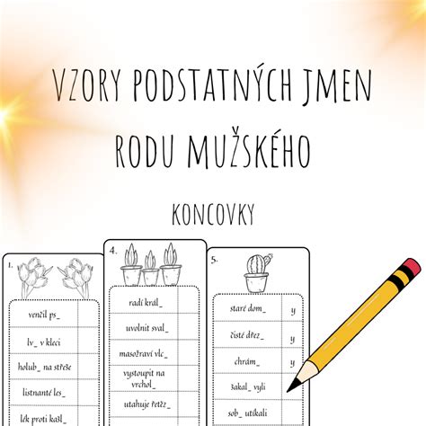 Materiál Koncovky podstatných jmen rod mužský