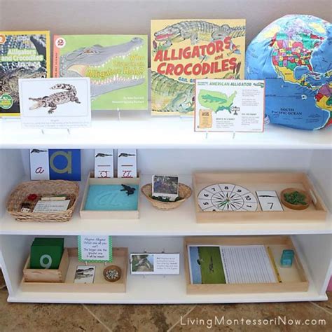 How To Prepare Themed Montessori Shelves Living Montessori Now