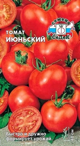 Томаты Семена СеДек Томат - купить по выгодным ценам в интернет ...