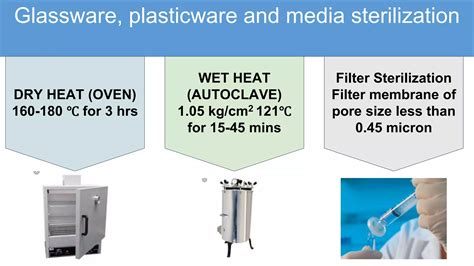 Aseptic Techniques In Plant Tissue Culture Ppt