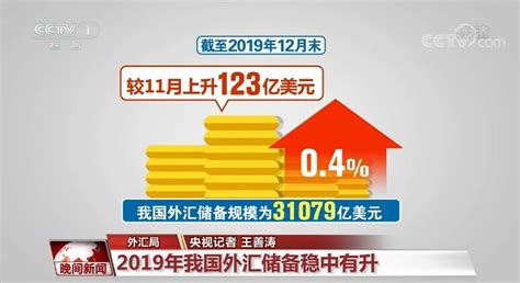 国家外汇管理局：2019年我国外汇储备稳中有升新闻频道央视网