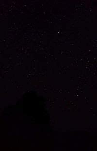 Madara Uchiha X Reader WARNING LEMON MATURE CONTENT Madara