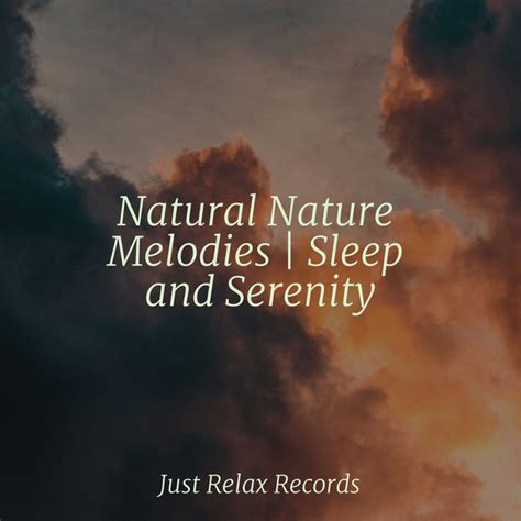 Natural Nature Melodies Sleep And Serenity Album By Deep Sleep