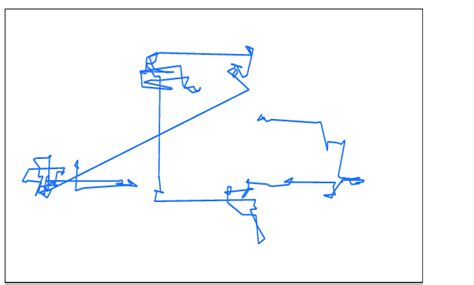 path   levy flight   version  colours