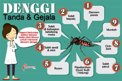 Tanda Demam Berdarah Newstempo