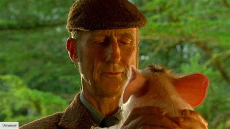 Babe The Digital Fix