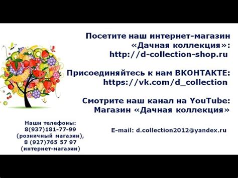 Магазин "Дачная коллекция" - YouTube