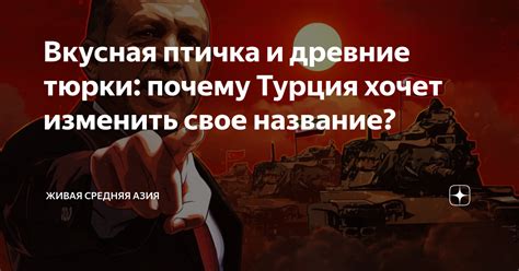 Вкусная птичка и древние тюрки: почему Турция хочет изменить свое ...