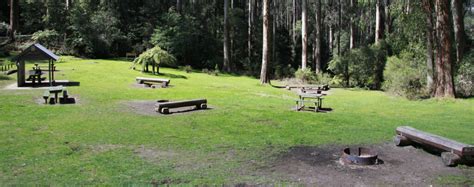 Starlings Gap Campground Great Forest National Park Victoria