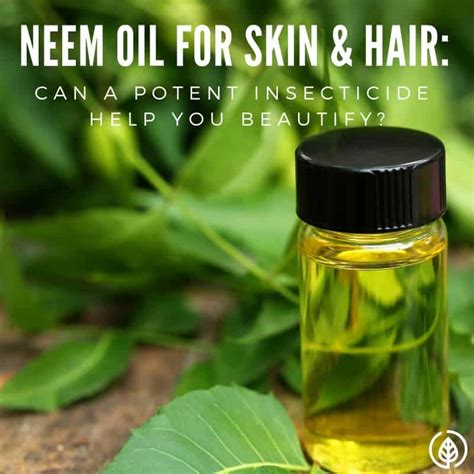 How To Use Neem Oil For Skin And Hair All Natural Ideas