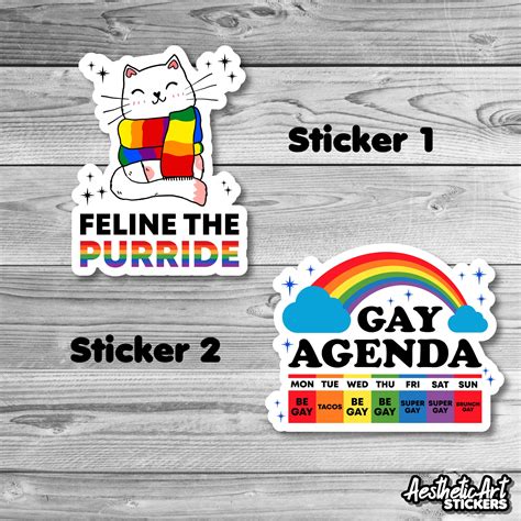 LGBTQ Pride Month Sticker Sayings Gay Lesbian Rainbow LGBT Etsy