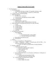 Studyguide Chapter Docx Chapter Study Guide Sex Gender Sex Development A Sex